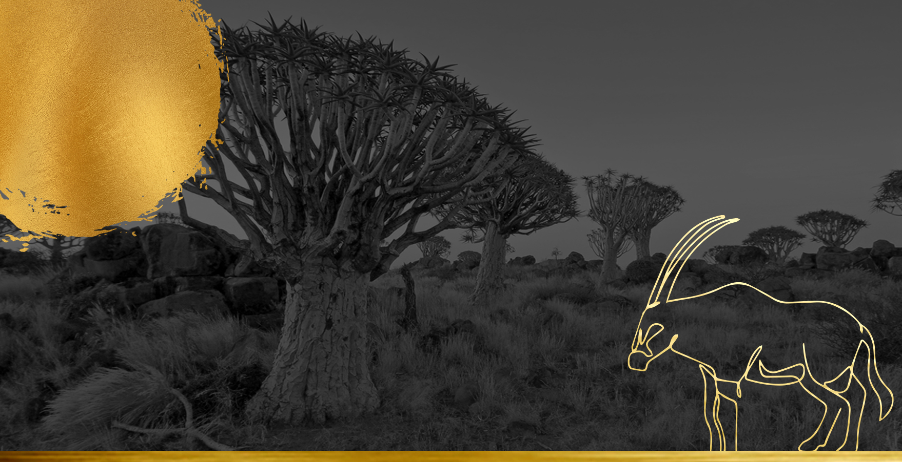 Sunrise at the Quiver Tree Forest, Namibia